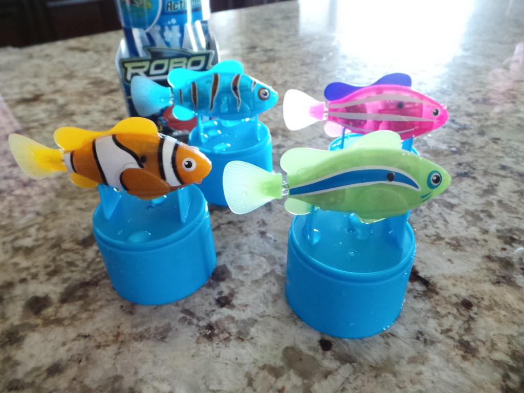 colour changing robo fish