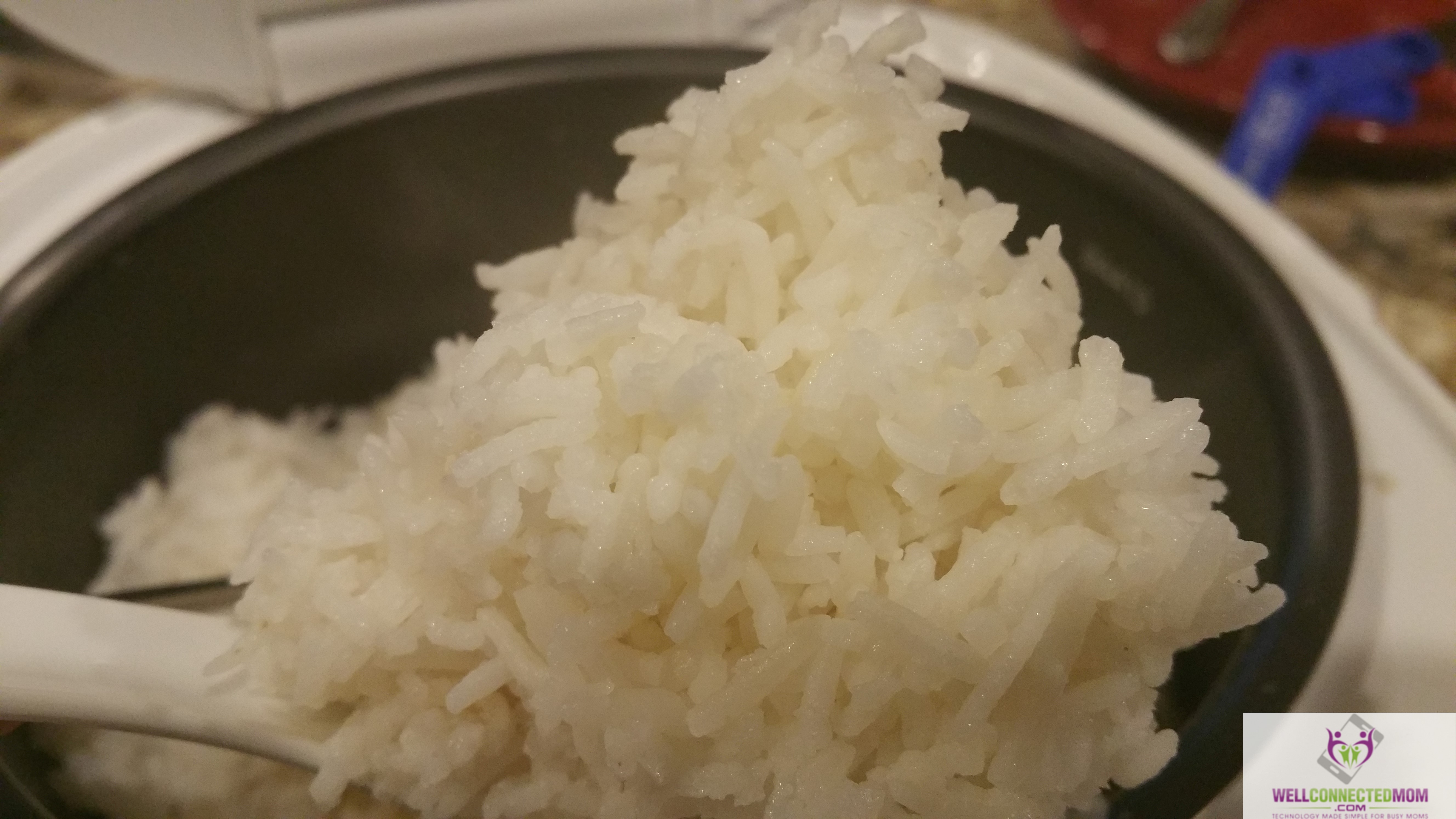 Using a Japanese Rice Cooker to Make Meals Simpler - The Well Connected Mom